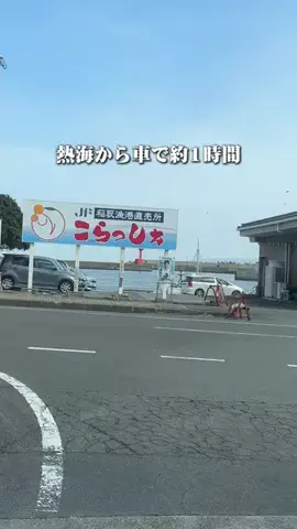 静岡グルメ／SHIZUOKA SELECTのTikTok投稿