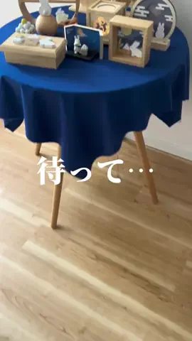 うららのTikTok投稿