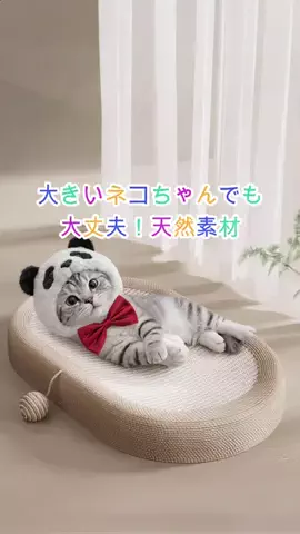 おもちのTikTok投稿