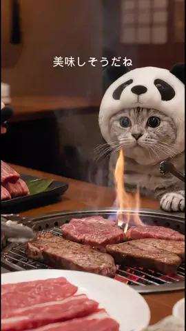 おもちのTikTok投稿