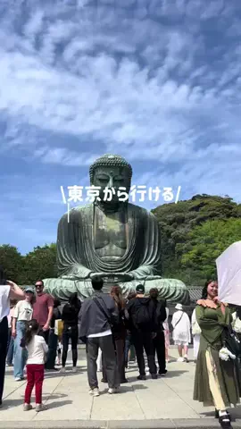 なみちゃん旅のTikTok投稿