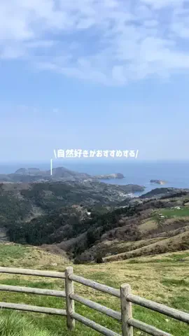なみちゃん旅のTikTok投稿