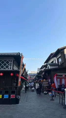 なみちゃん旅のTikTok投稿