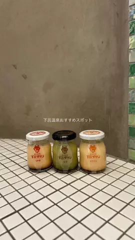 なみちゃん旅のTikTok投稿