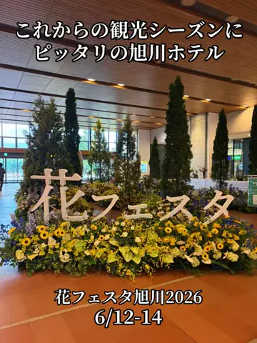 シロクマさんのTikTok投稿