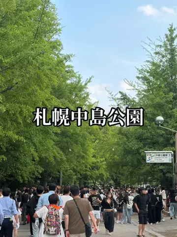 シロクマさんのTikTok投稿