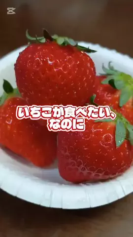 広報ちゃんのTikTok投稿