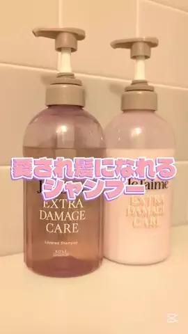 広報ちゃんのTikTok投稿