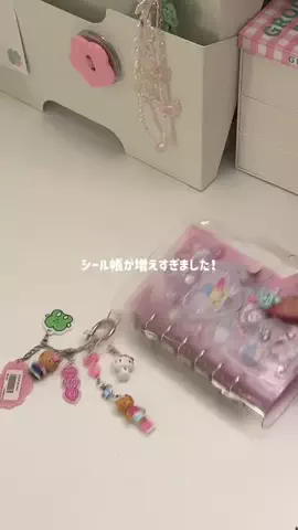 サモエドネキのお部屋のTikTok投稿