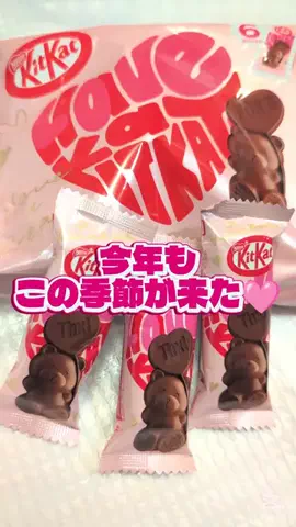 広報ちゃんのTikTok投稿
