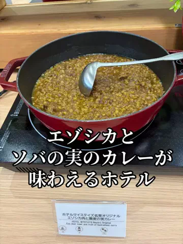 シロクマさんのTikTok投稿