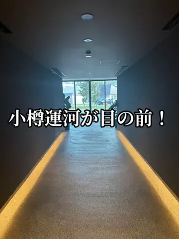 シロクマさんのTikTok投稿