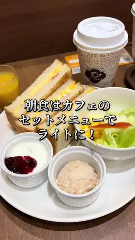 シロクマさんのTikTok投稿