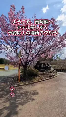 トアンもん　チャンネルのTikTok投稿