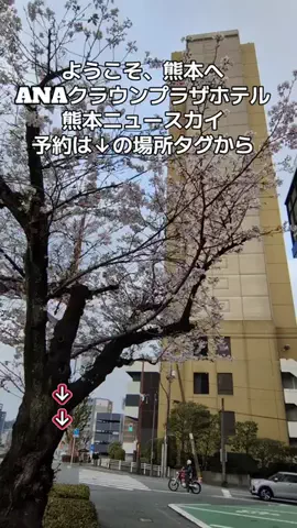 トアンもん　チャンネルのTikTok投稿