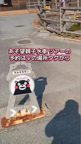 トアンもん　チャンネルのTikTok投稿