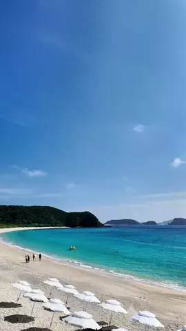 沖縄グルメ／OKINAWA SELECTのTikTok投稿