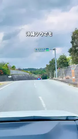 沖縄グルメ／OKINAWA SELECTのTikTok投稿