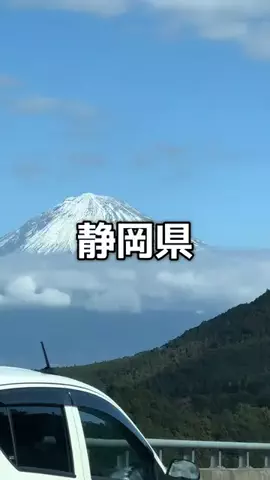 1QUESTION / JAPANのTikTok投稿