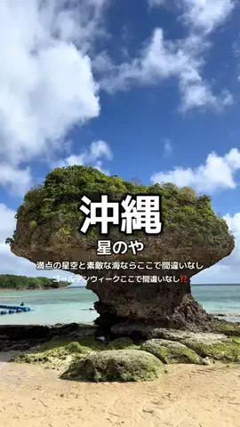 1QUESTION / JAPANのTikTok投稿