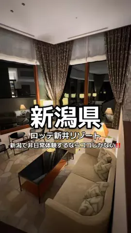 1QUESTION / JAPANのTikTok投稿