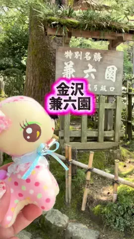 みやも人形のTikTok投稿