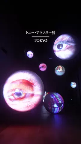 Shogo📷｜カメラとおでかけのTikTok投稿