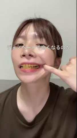 ビザちゃんのTikTok投稿