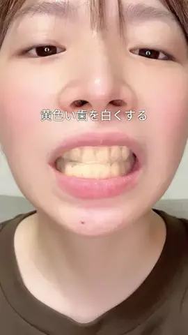 ビザちゃんのTikTok投稿