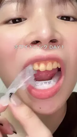 ビザちゃんのTikTok投稿