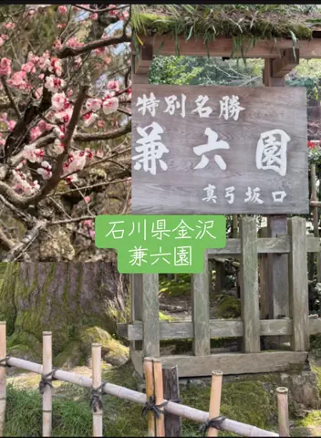 みやも人形のTikTok投稿