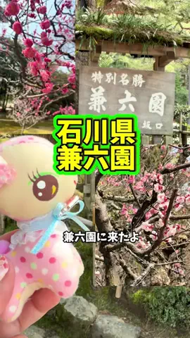 みやも人形のTikTok投稿