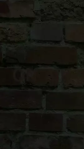 ひきこもりすのお夕飯のTikTok投稿