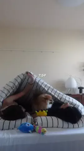naokiwa_lifeのTikTok投稿