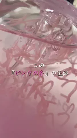 たまご肌姫のTikTok投稿