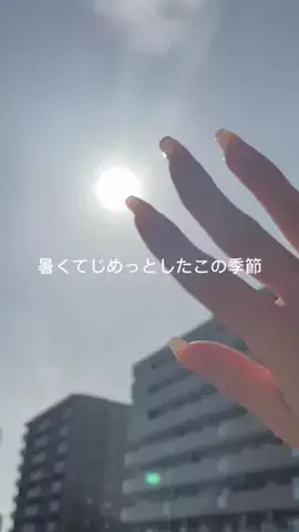 ゆりちゃんのTikTok投稿