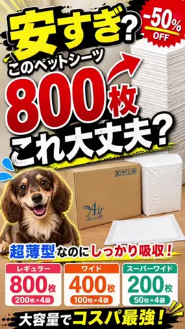 まりもん(･༝･ᐡ)のTikTok投稿