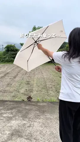 さやぴい⌇整えるごはんと暮らしのTikTok投稿