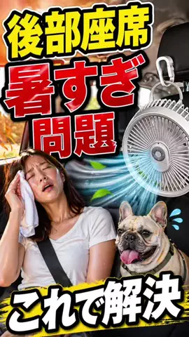 まりもん(･༝･ᐡ)のTikTok投稿
