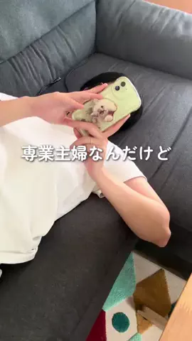 himacah_lifeのTikTok投稿