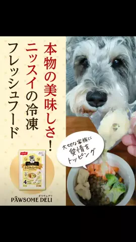 ライル〜Lisle〜のTikTok投稿