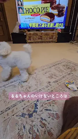 るるちゃんねるのTikTok投稿