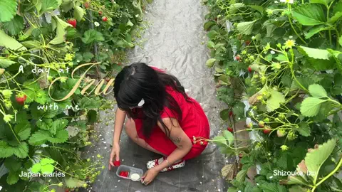 マリ MariのTikTok投稿