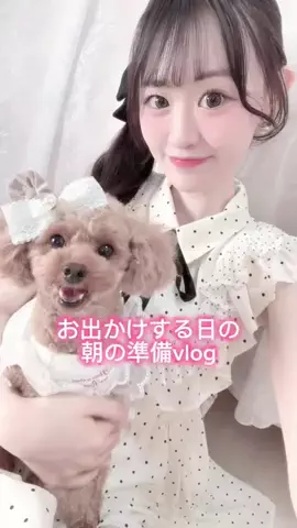 はーちゃんのTikTok投稿