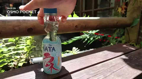 MottyTravel👒のTikTok投稿