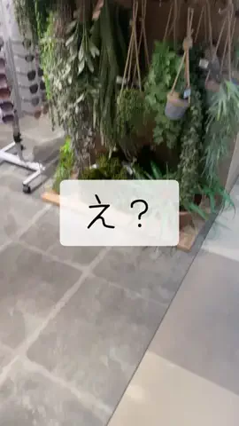 rina.のTikTok投稿