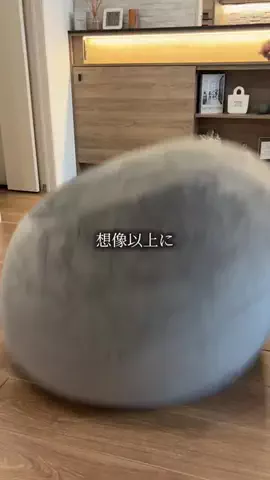 らいのTikTok投稿