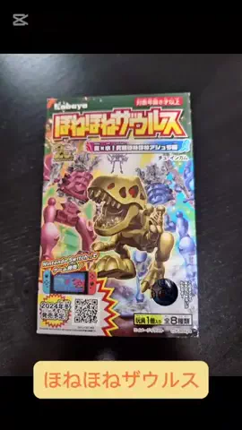 nyanyacoのTikTok投稿