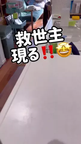 Life on ProductsのTikTok投稿