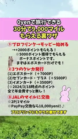 うさぎ先輩@役立つお金の知識のTikTok投稿